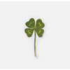 Appree Four leaf clover press flower deco sticker