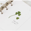 Example of use - Appree Four leaf clover press flower deco sticker