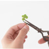 Example of use - Appree Four leaf clover press flower deco sticker