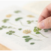 Appree Four leaf clover press flower deco sticker