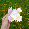 Example of use - ABJECTION Daisy cards and envelope set