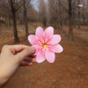 Pink - ABJECTION Hepatica asiatica card and envelope set