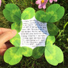 ABJECTION Four leaf clover cards and envelope se