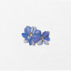 Example of use - Appree Larkspur press flower stickers