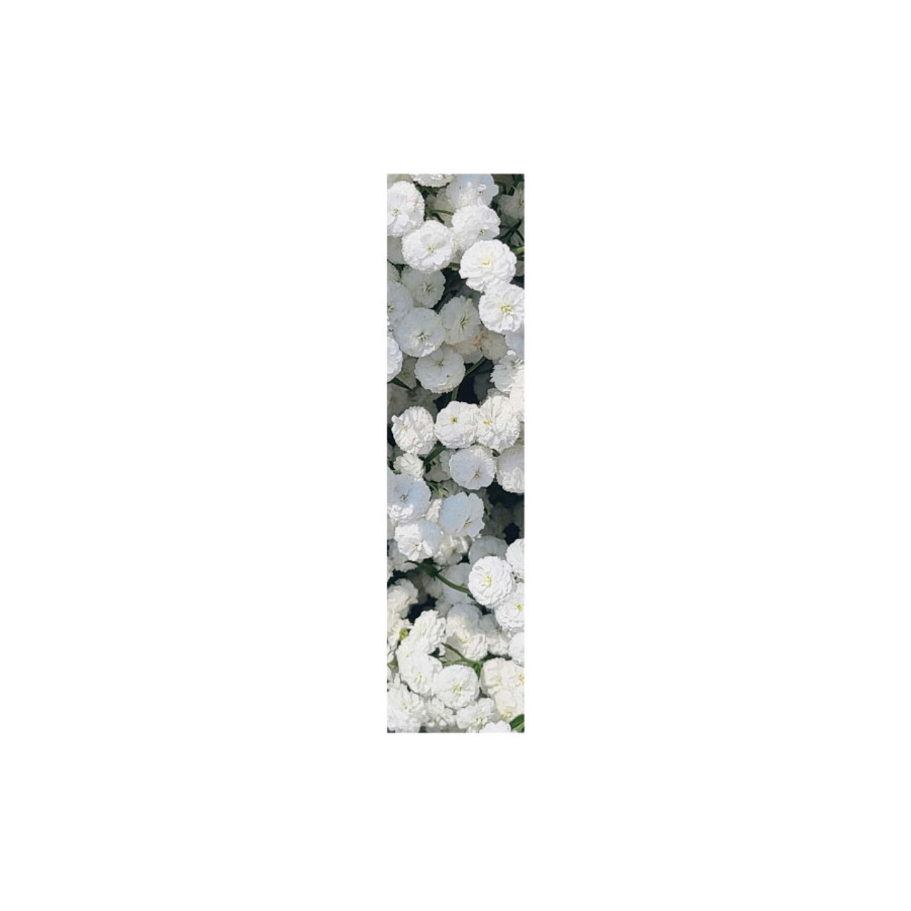 FLOWERS 春篇 ファンブック 未開封 Innocent Gray Amazon | FLOWERS Le volume sur printemps official fanbook