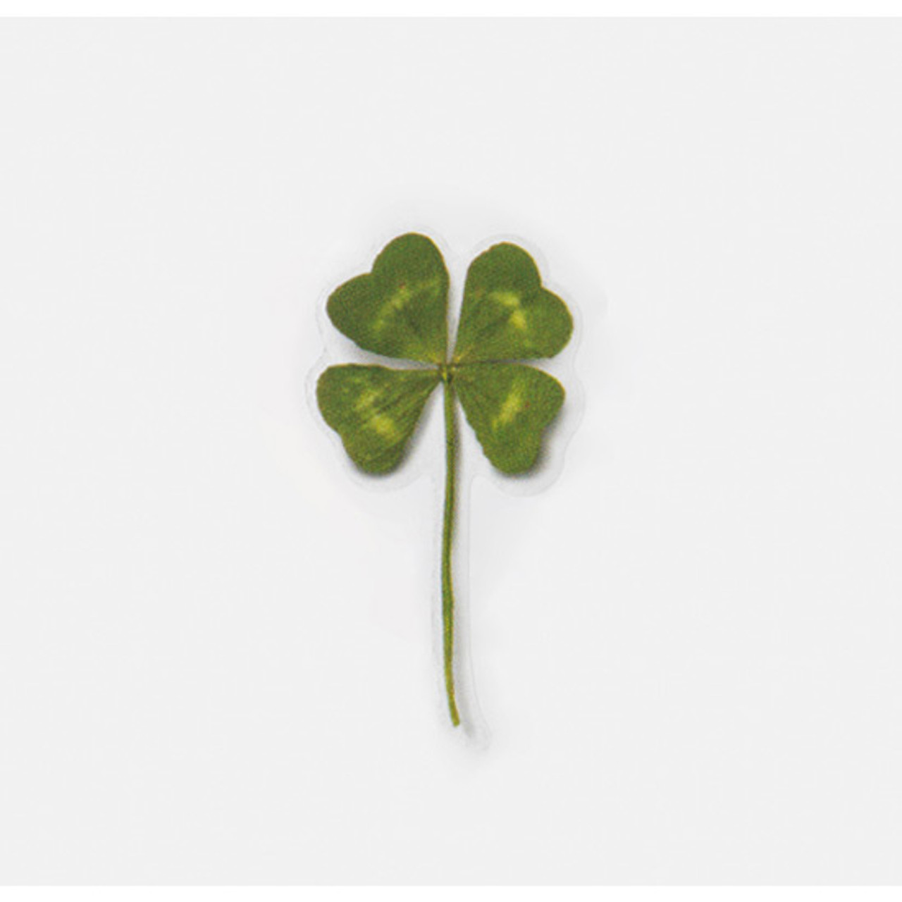 Appree Four leaf clover press flower deco sticker