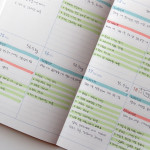 Weekly plan - Jam Studio 2021 One fine day dated weekly diary planner