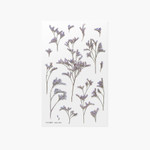 Appree Misty blue pressed flower sticker