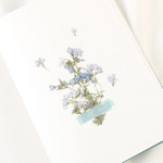 Appree Moss phlox pressed flower sticker