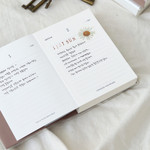 Usage example - Indigo Record Your 365 Day Dateless Daily Diary Journal