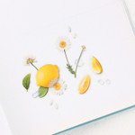 Appree Lemon Fruit Clear Sticker