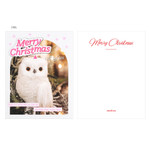 Owl - Ardium Merry Christmas Card with Envelope