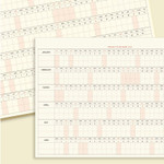 Project Plan - Iconic 2026 Flow A4 Dated Monthly Desk Planner