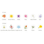 2 option - Indocyder Flower Among Flower arrangement Clear Sticker Pack