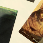 Round Corners - Paperian The Scenery Breathing Space Bookmark Set