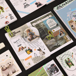 Perfect for Bujo - Wanna This Roommate Object Removable Sticker Pack