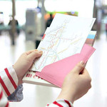 Gunmangzeung RFID blocking flat pocket passport case