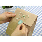 PlanD Kraft gift paper bag set