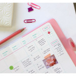 Monthly - Wannabe unique undated medium diary