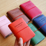 Extra 30 pocket card case holder Extra 30 pocket card case holder