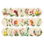 Composition of Flower circle sticker set with tin case