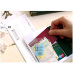 Choo choo cat petite passport case