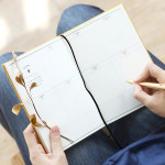 2016 Iconic Un jour de reve day dated diary  2016 Iconic Un jour de reve day dated diary