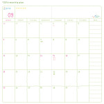 Monthly plan