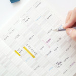 Yearly plan - 2017 Dash and Dot Wish dated weekly diary