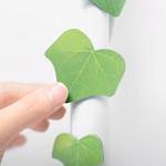 Appree Ivy magnet set