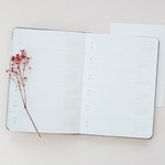 Yearly plan - 2017 Day by Day large dated diary