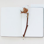 Free note - 2017 Day by Day large dated diary