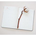 Monthly plan - 2017 Day by Day large dated diary