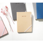 2017 Day by Day large dated diary