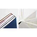 2017 The classic large dated monthly planner