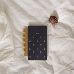 02 - 2017 Dailylike Daily log monthly dated diary scheduler