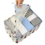 Line friends small travel mesh bag packing organizer 