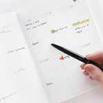 Weekly plan - Afternoon undated weekly diary