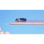 Detail of Buri cherry blossom pattern A4 clipboard