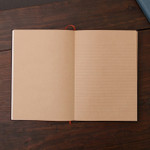 Writer hardcover plain and lined notebook
