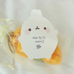 Example of use - Molang basic cute sticky memo note