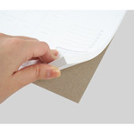 Sturdy back - Plain undated monthly desk scheduler pad