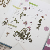 Usage example - Appree Astragalus sinicus pressed flower sticker