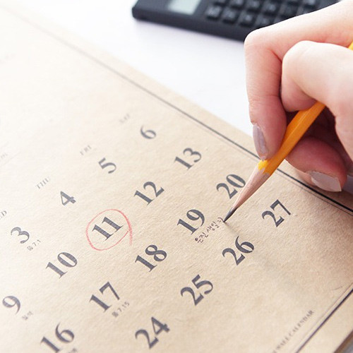 Wanna This 2019 Classic A4 spiral bound wall calendar