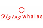 Flying Whales