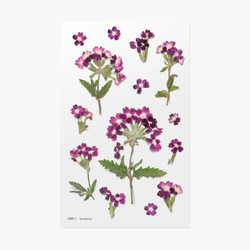 Verbena press flower deco sticker