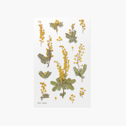 Appree Mimosa pressed flower sticker