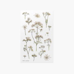 Appree Lace flower pressed flower sticker