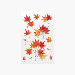 Appree Palmate maple pressed flower sticker