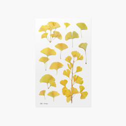 Appree Ginkgo pressed flower sticker